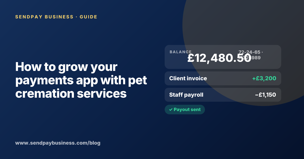 A founder planning the launch of their own money app