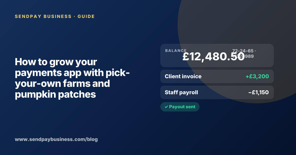 A founder planning the launch of their own money app