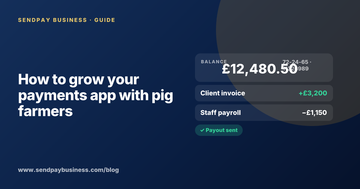 A founder planning the launch of their own money app