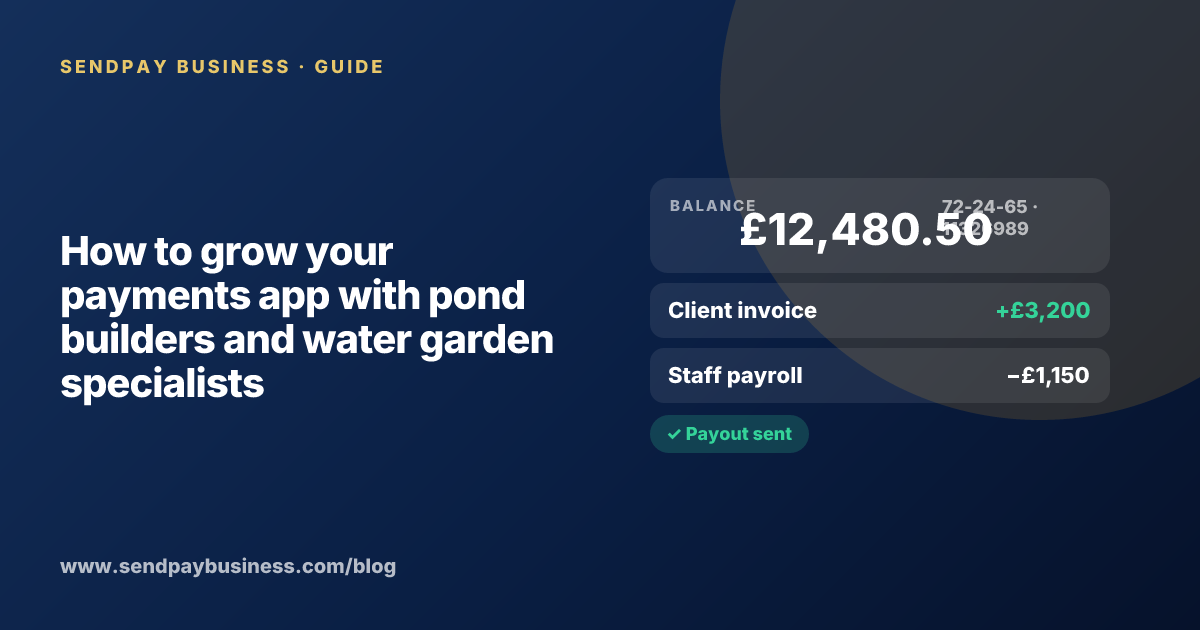 A founder planning the launch of their own money app