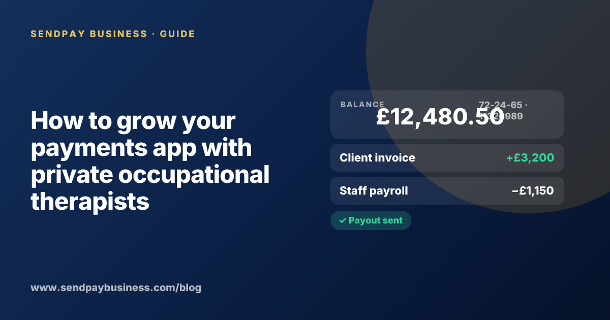 A founder planning the launch of their own money app