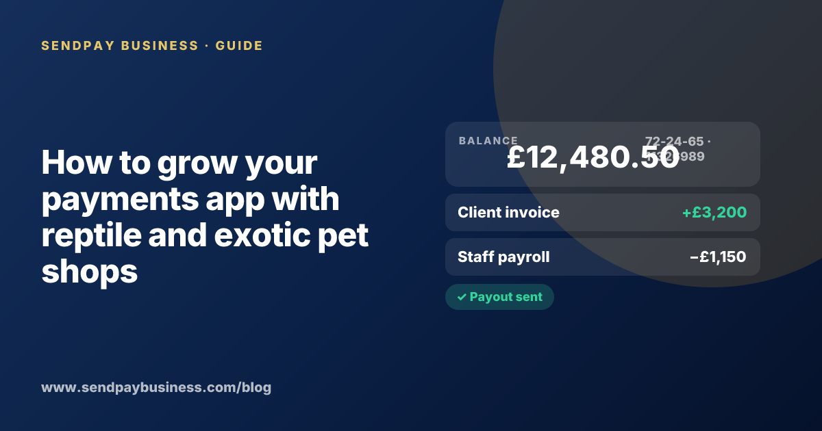 A founder planning the launch of their own money app
