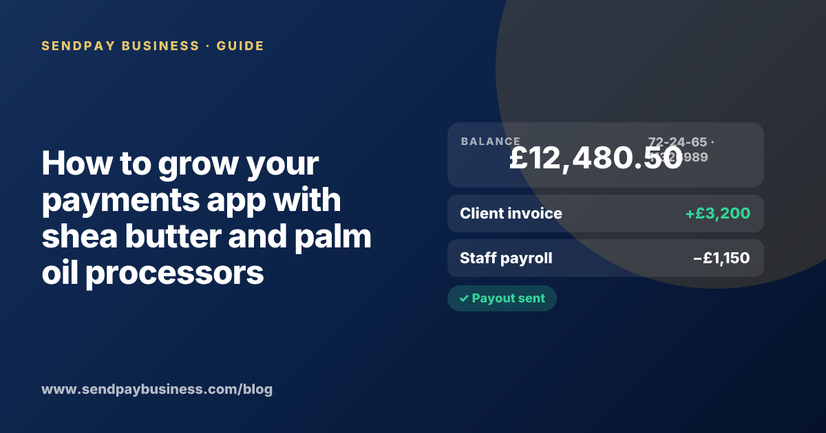 A founder planning the launch of their own money app