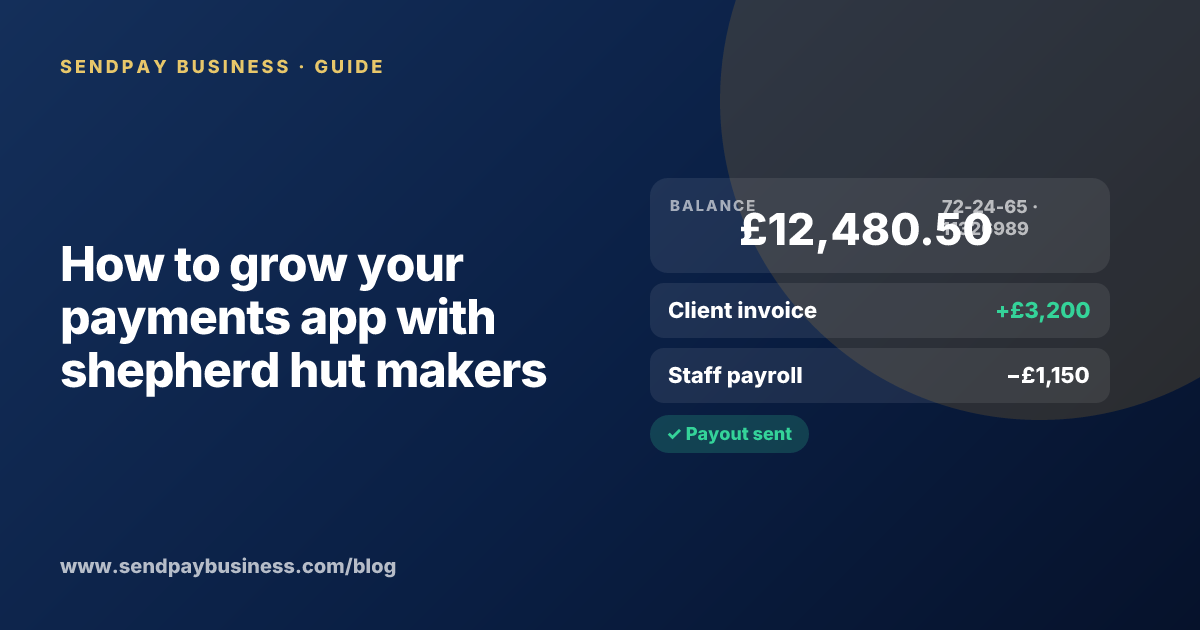 A founder planning the launch of their own money app