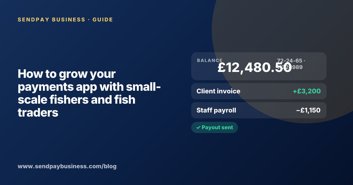A founder planning the launch of their own money app