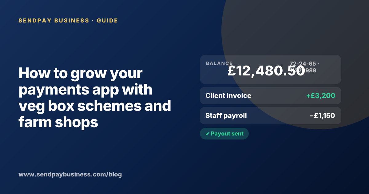 A founder planning the launch of their own money app