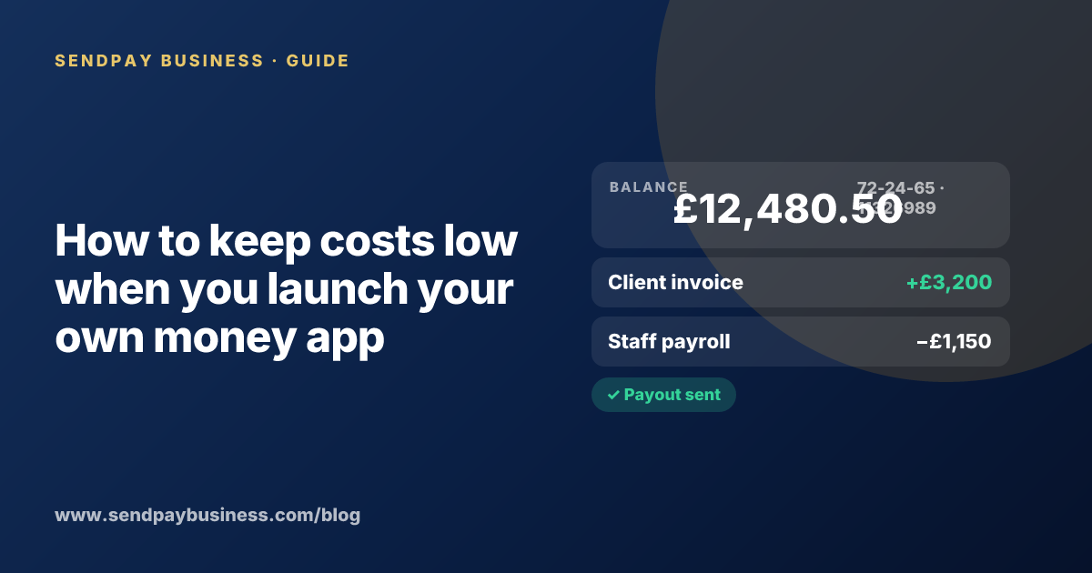 A founder planning the launch of their own money app