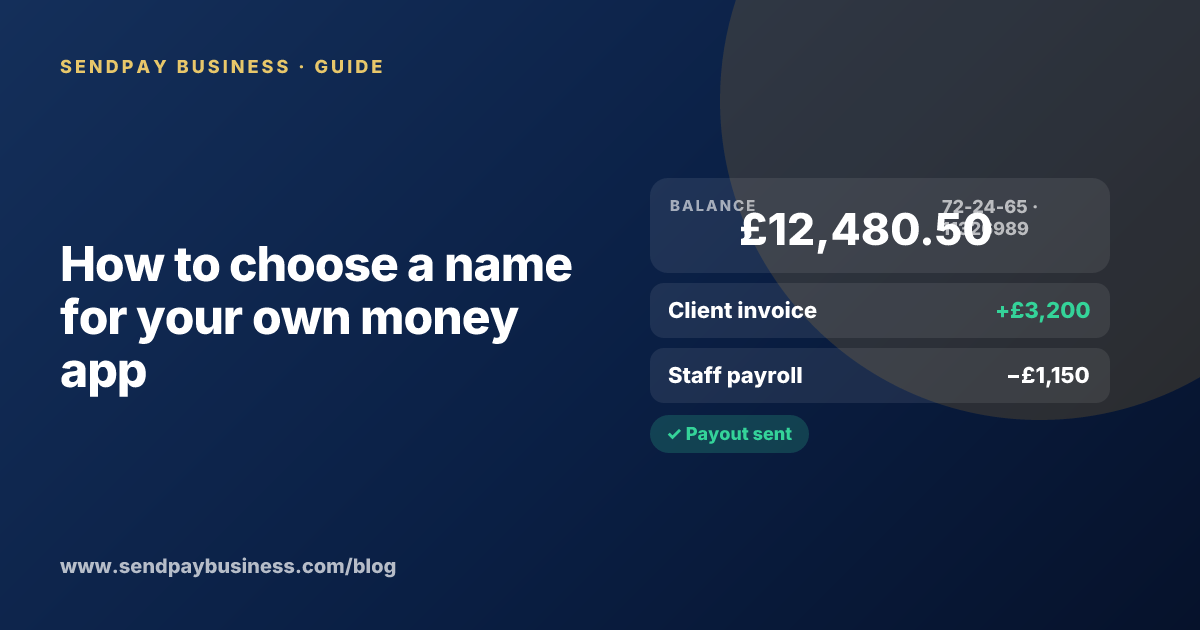A founder planning the launch of their own money app