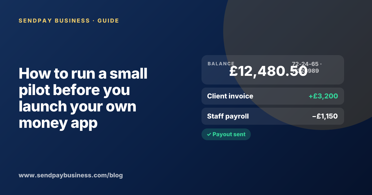 A founder planning the launch of their own money app