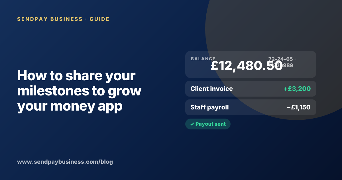 A founder planning the launch of their own money app