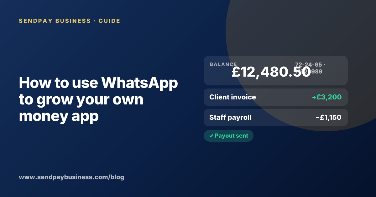 A founder planning the launch of their own money app